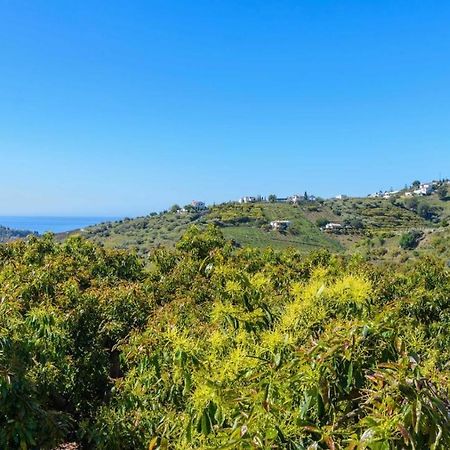 Villa Javier De Frigiliana By Ruralidays מראה חיצוני תמונה